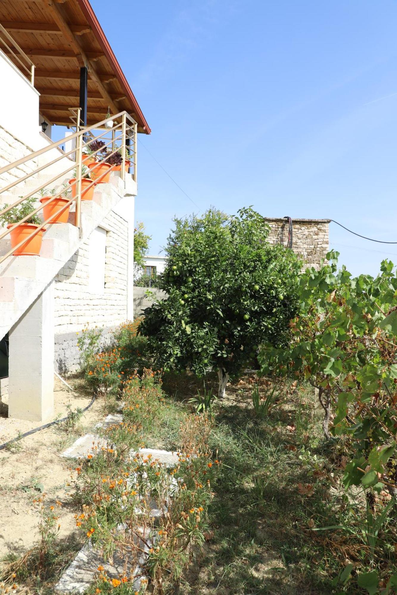 Villa Rexho