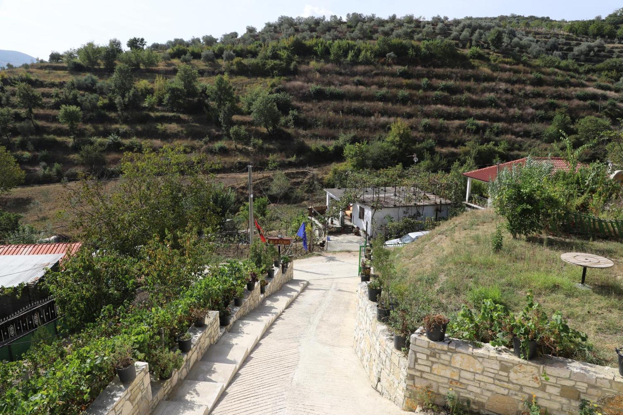 Villa Rexho *