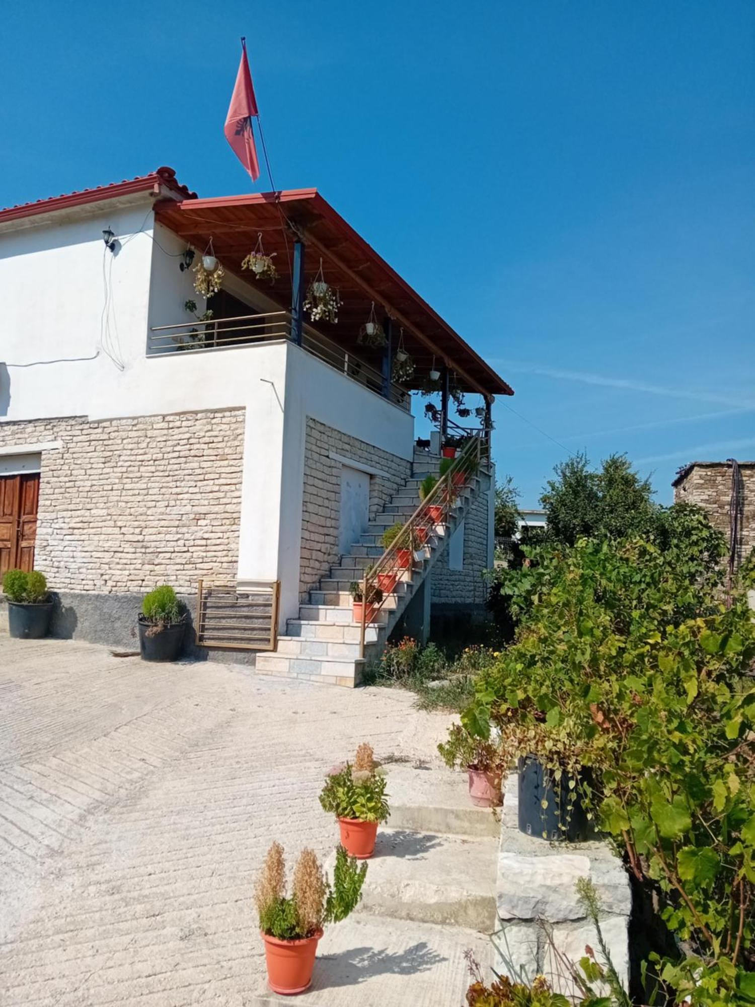 Villa Rexho