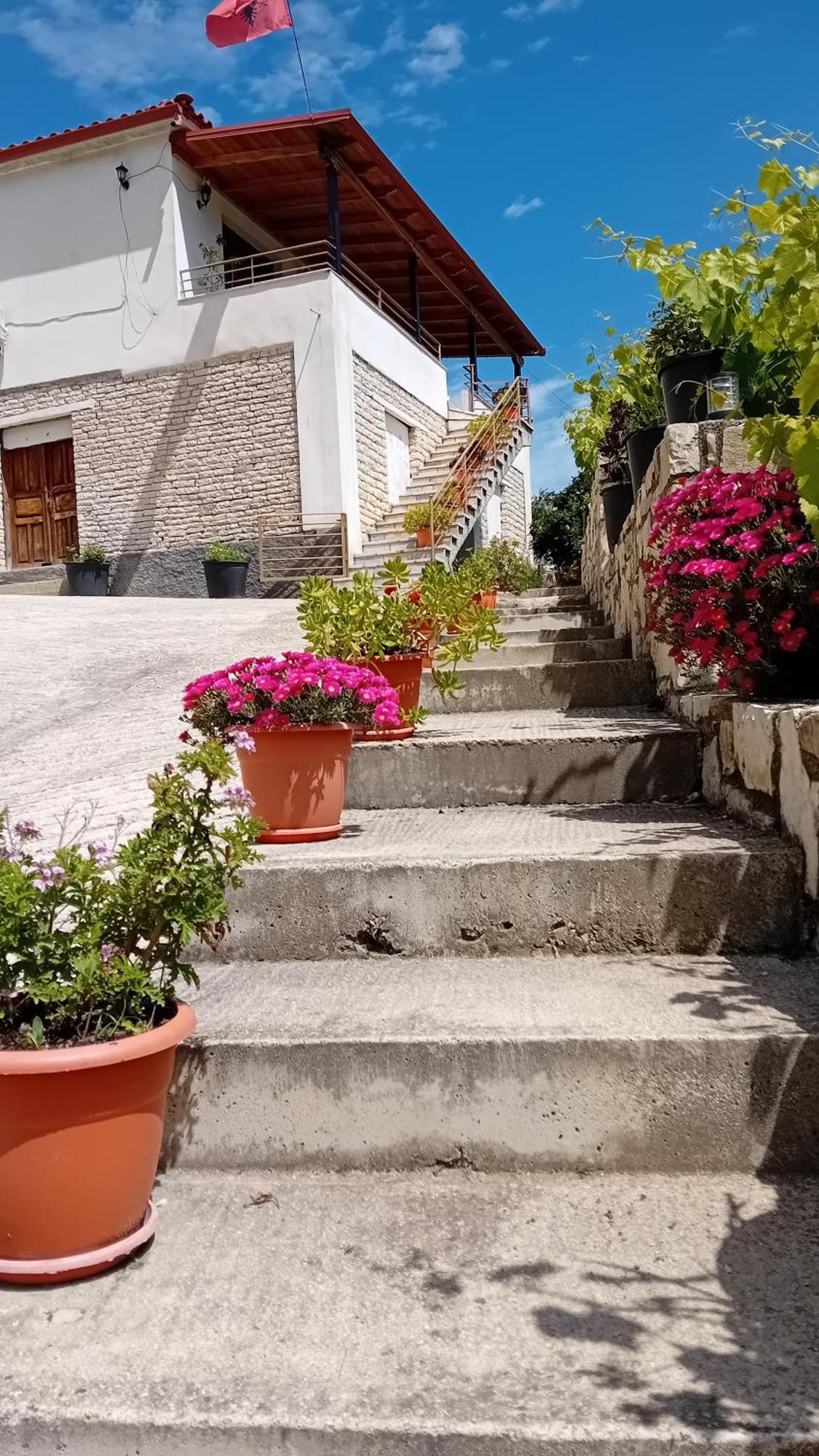 Rexho Villa *